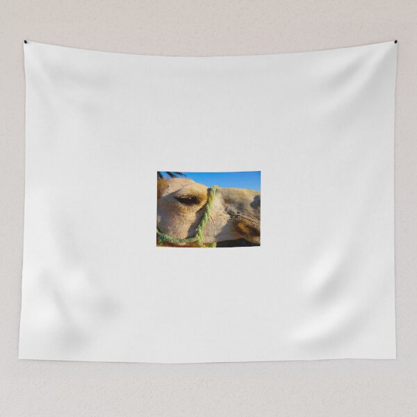 Item preview, Camel Eye designed and sold by exploramum.