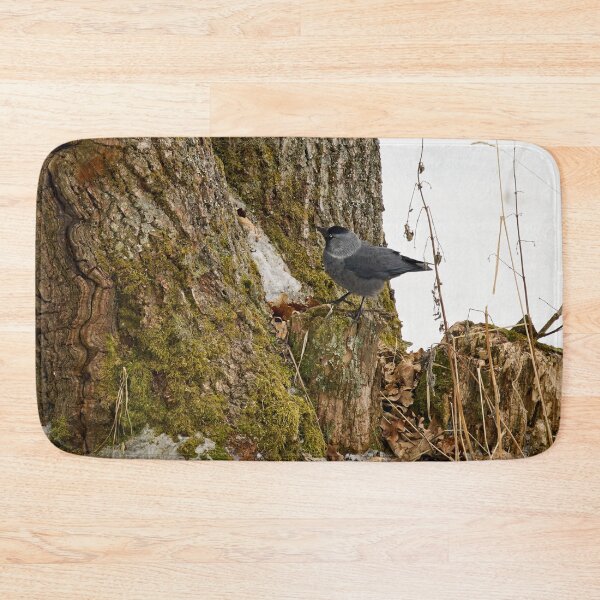 Item preview, Anything up there. Eurasian jackdaw designed and sold by Jouko Lehto Photography.