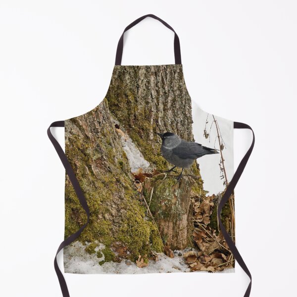 Item preview, Anything up there. Eurasian jackdaw designed and sold by Jouko Lehto Photography.