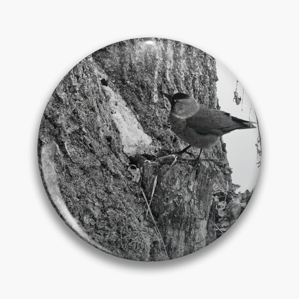 Item preview, Anything up there. Eurasian jackdaw bw designed and sold by Jouko Lehto Photography.