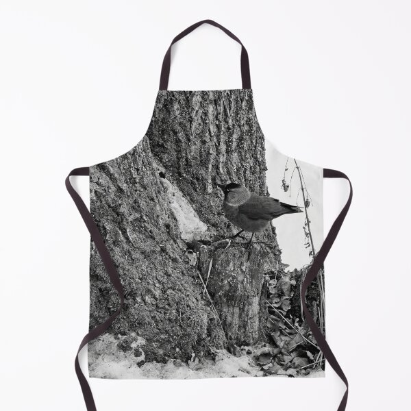 Item preview, Anything up there. Eurasian jackdaw bw designed and sold by Jouko Lehto Photography.
