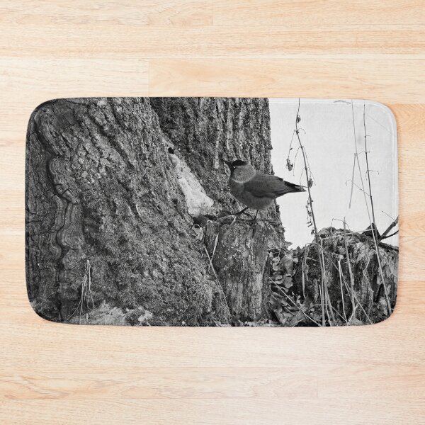 Item preview, Anything up there. Eurasian jackdaw bw designed and sold by Jouko Lehto Photography.