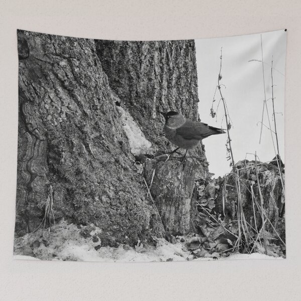 Item preview, Anything up there. Eurasian jackdaw bw designed and sold by Jouko Lehto Photography.
