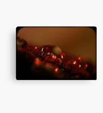 Bokeh Bokeh Canvas Print