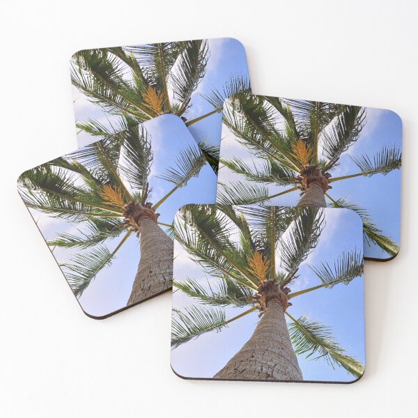 Item preview, Looking up at the coconut palm tree designed and sold by jaynerushton.