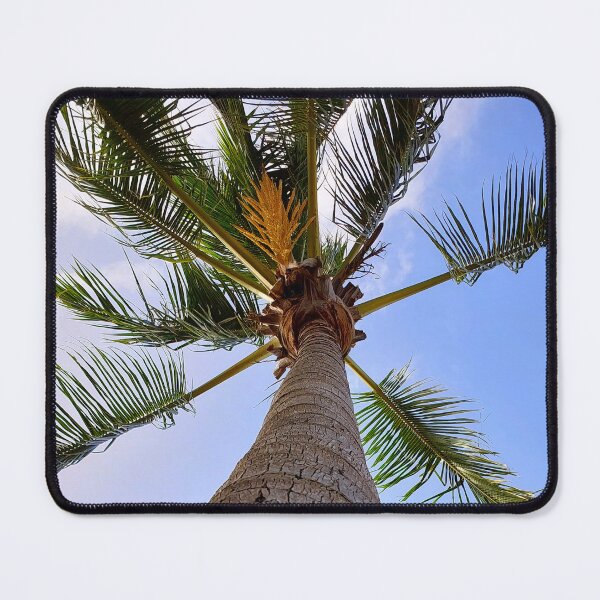 Item preview, Looking up at the coconut palm tree designed and sold by jaynerushton.