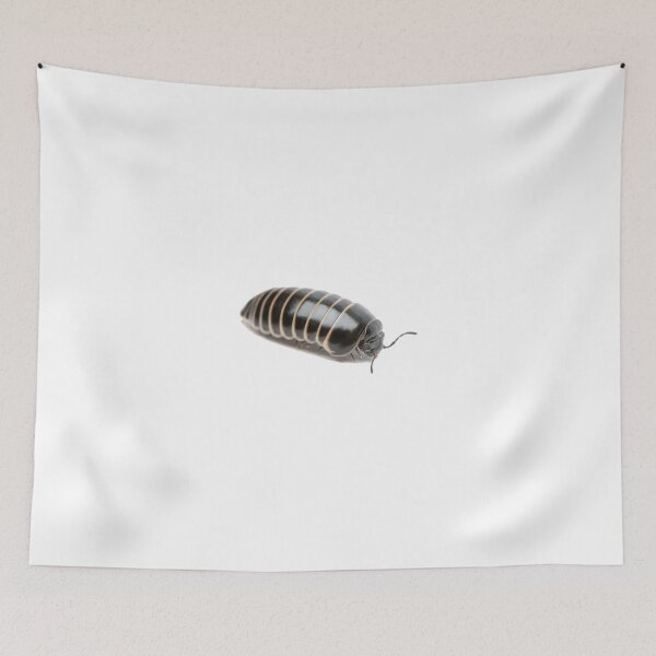 Item preview, Pill bug  designed and sold by thnatha.