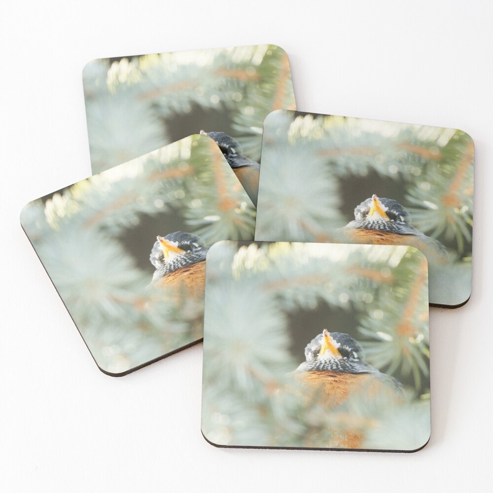 Item preview, Coasters (Set of 4) designed and sold by alycetaylor.