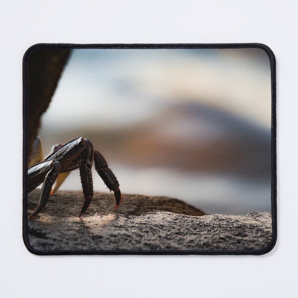 Item preview, Crab designed and sold by leighb74.