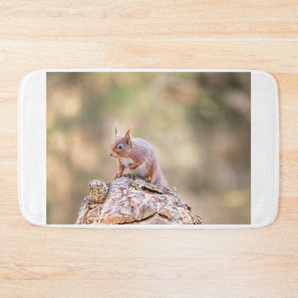 Item preview, Red Squirrel, Brownsea Island, England designed and sold by dvlcom.