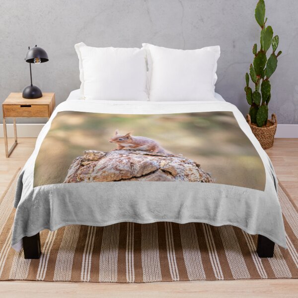 Item preview, Red Squirrel, Brownsea Island, England designed and sold by dvlcom.