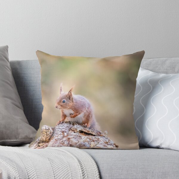 Item preview, Red Squirrel, Brownsea Island, England designed and sold by dvlcom.
