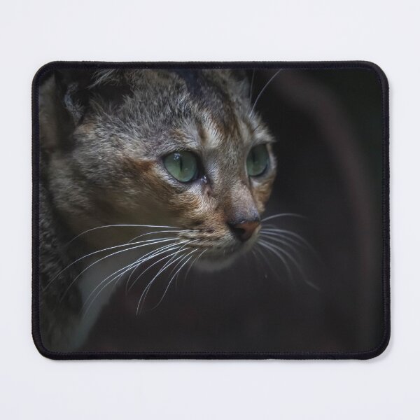 Item preview, Cat looking up to designed and sold by D4-Brand.