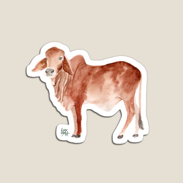 Brahman Cow Watercolour Magnet