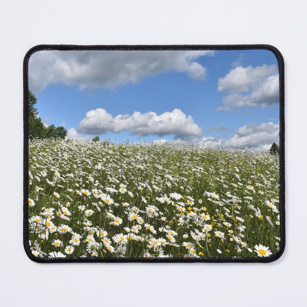Item preview, A field of daisies in summer designed and sold by Claude Laprise.