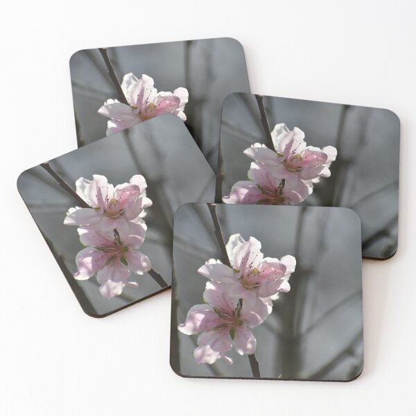 Item preview, Brillant pink plum blossoms designed and sold by FoxGlove5.