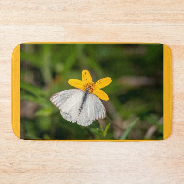 Item preview, Southern White On Yellow Oxeye Daisy designed and sold by Debra Martz.