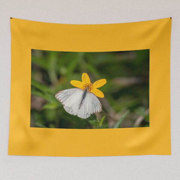 Item preview, Southern White On Yellow Oxeye Daisy designed and sold by Debra Martz.