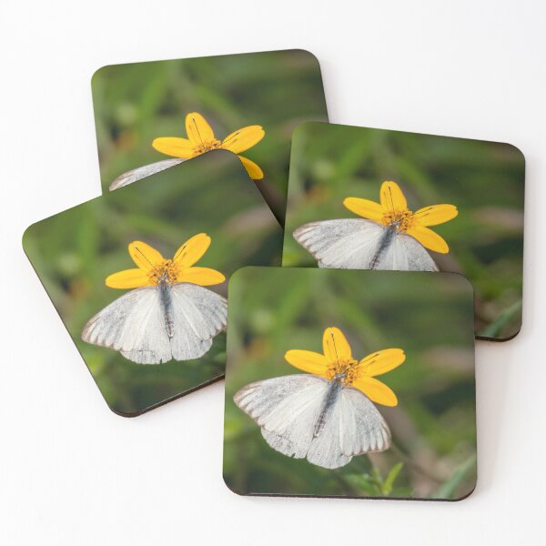 Item preview, Southern White On Yellow Oxeye Daisy designed and sold by Debra Martz.