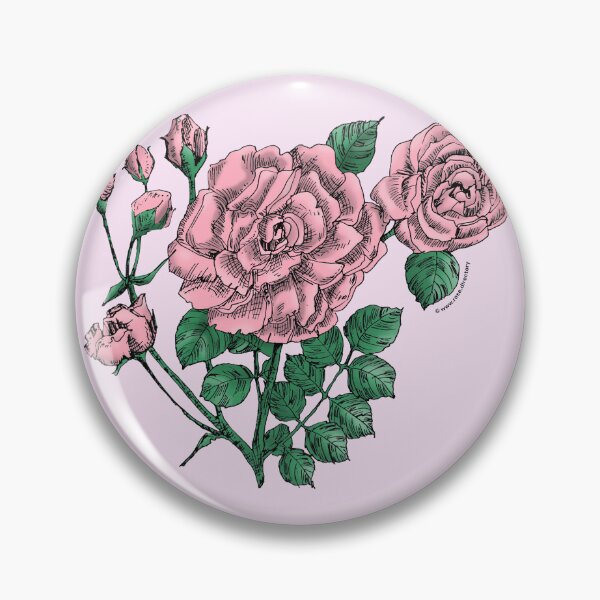 Item preview, Light Pink Flat Rose Bloom Double 16-25 Petals In 3+ Rows designed and sold by Rachael Taylor.