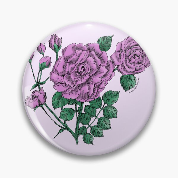 Item preview, Purple Flat Rose Bloom Double 16-25 Petals In 3+ Rows designed and sold by Rachael Taylor.