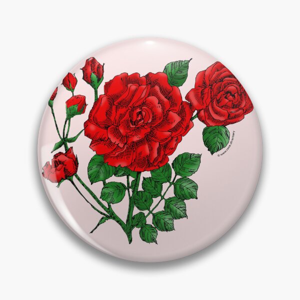 Item preview, Bright Red Flat Rose Bloom Double 16-25 Petals In 3+ Rows designed and sold by Rachael Taylor.