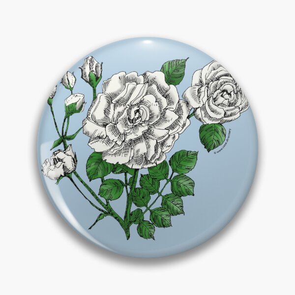 Item preview, White Flat Rose Bloom Double 16-25 Petals In 3+ Rows designed and sold by Rachael Taylor.