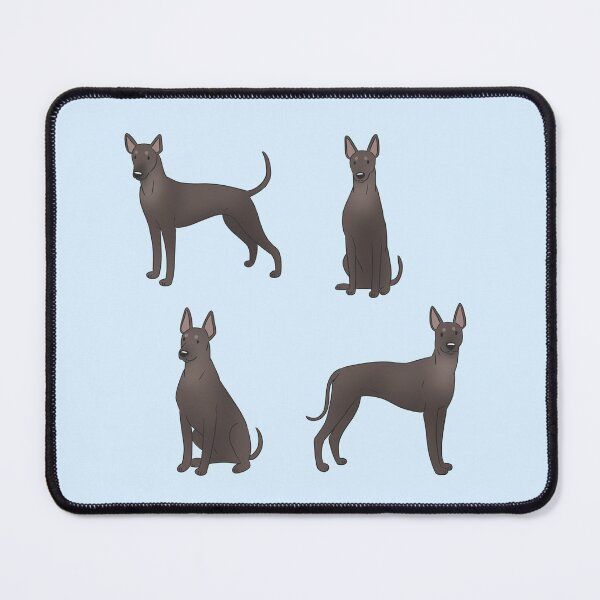 Item preview, Xoloitzcuintli cute mexican hairless dog pack designed and sold by Yaragold.