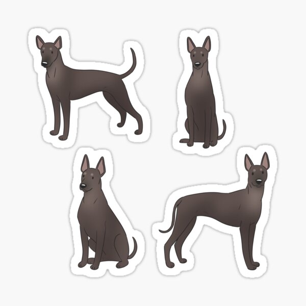 Vista previa del artículo con la obra «Xoloitzcuintli lindo pack de perro mexicano sin pelo», diseñado y vendido por Yaragold.