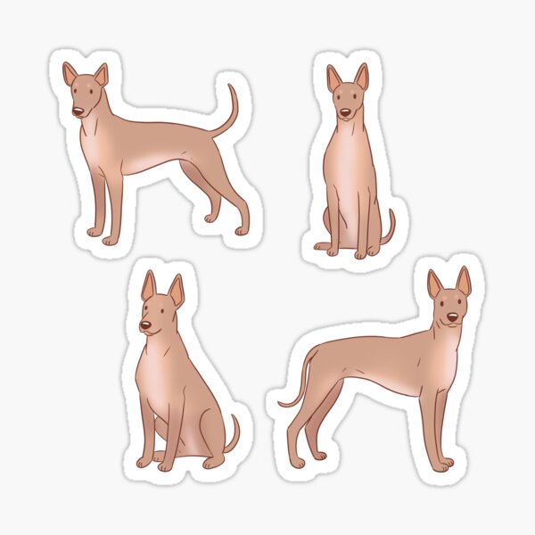 Vista previa del artículo con la obra «Xoloitzcuintli lindo pack de perro mexicano sin pelo», diseñado y vendido por Yaragold.