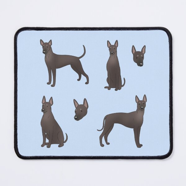 Item preview, Xoloitzcuintli cute mexican hairless dog pack designed and sold by Yaragold.