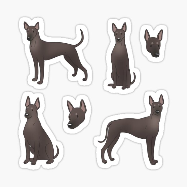 Vista previa del artículo con la obra «Xoloitzcuintli lindo pack de perro mexicano sin pelo», diseñado y vendido por Yaragold.