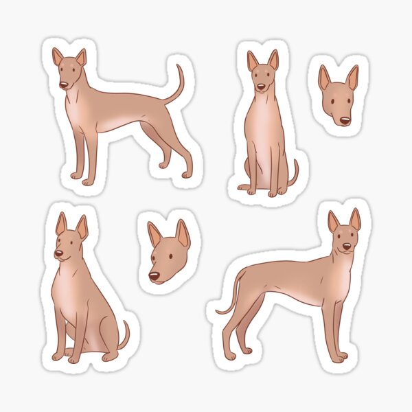 Vista previa del artículo con la obra «Xoloitzcuintli lindo pack de perro mexicano sin pelo», diseñado y vendido por Yaragold.