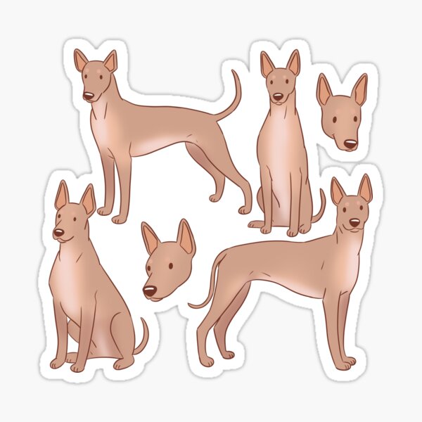 Vista previa del artículo con la obra «Xoloitzcuintli lindo patrón de perro sin pelo mexicano», diseñado y vendido por Yaragold.