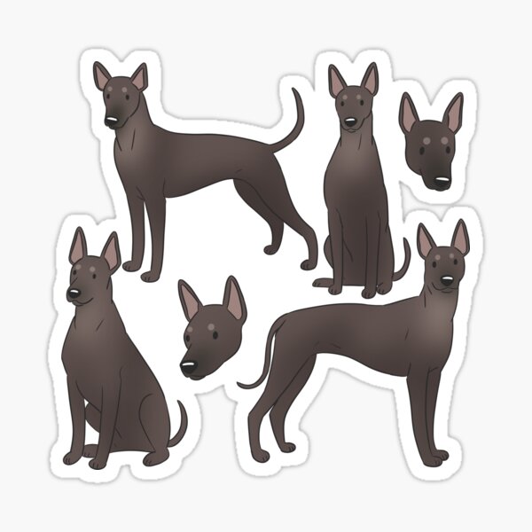 Item preview, Xoloitzcuintli lindo patrón de perro sin pelo mexicano designed and sold by Yaragold.