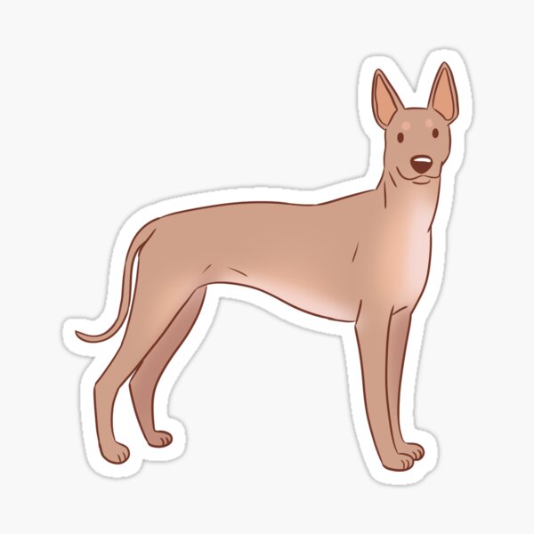 Vista previa del artículo con la obra «Lindo perro sin pelo mexicano xoloitzcuintli», diseñado y vendido por Yaragold.
