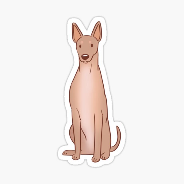 Vista previa del artículo con la obra «Lindo perro sin pelo mexicano xoloitzcuintli», diseñado y vendido por Yaragold.