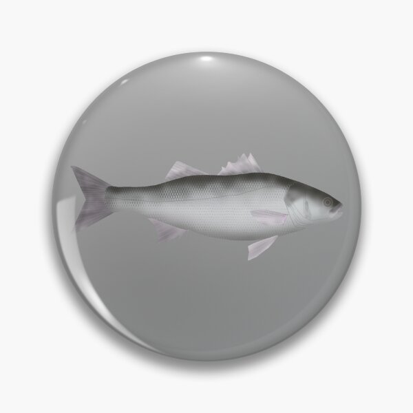 Item preview, European Seabass designed and sold by fishfolkart.