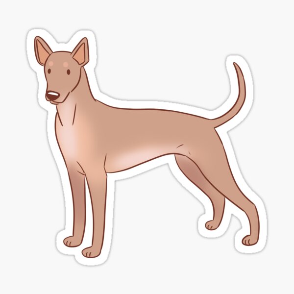 Vista previa del artículo con la obra «Lindo perro sin pelo mexicano xoloitzcuintli», diseñado y vendido por Yaragold.