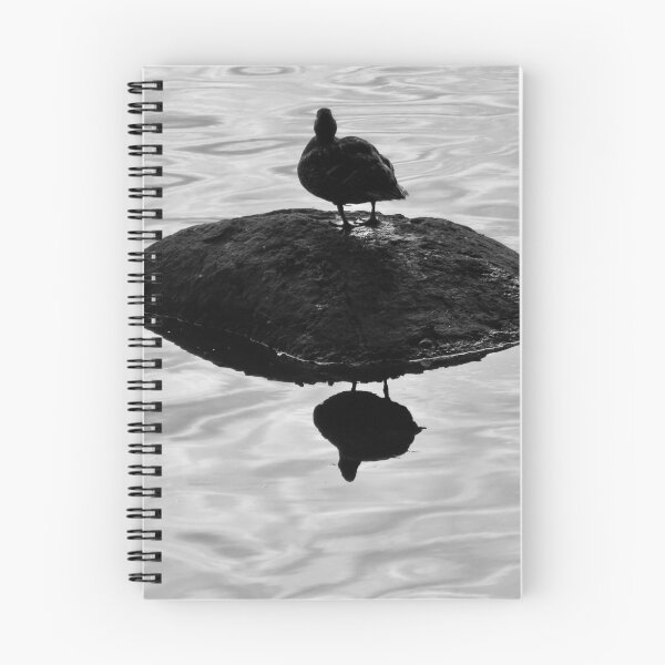 Item preview, Duck on  rock designed and sold by Shulie1.