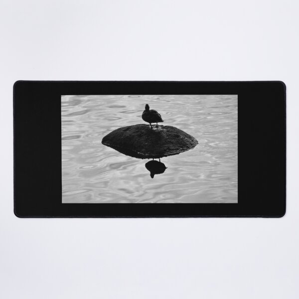 Item preview, Duck on  rock designed and sold by Shulie1.