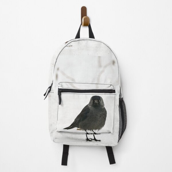 Item preview, Who. Me. Eurasian jackdaw designed and sold by Jouko Lehto Photography.