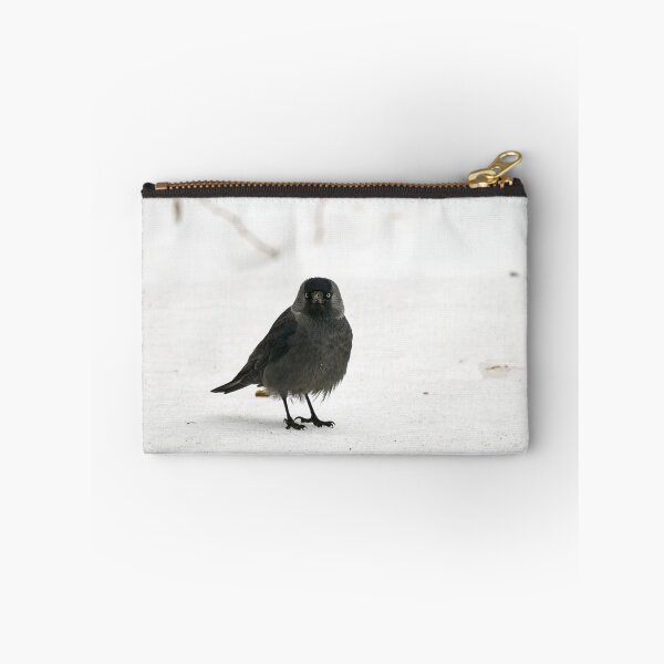 Item preview, Who. Me. Eurasian jackdaw designed and sold by Jouko Lehto Photography.
