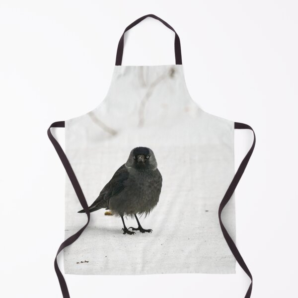 Item preview, Who. Me. Eurasian jackdaw designed and sold by Jouko Lehto Photography.