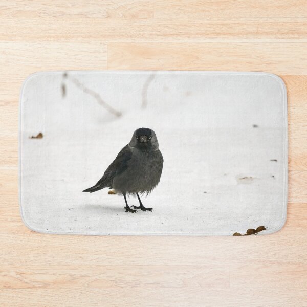 Item preview, Who. Me. Eurasian jackdaw designed and sold by Jouko Lehto Photography.