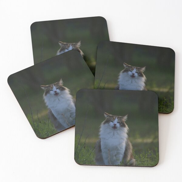 Item preview, Cat ending a yawn designed and sold by FoxGlove5.