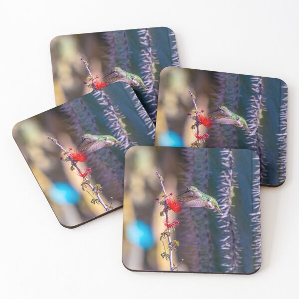 Item preview, Hummingbird Feeding designed and sold by SafariByMarisa.