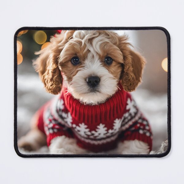 Item preview, Cavapoo in a Festive Knit designed and sold by ColourCove .