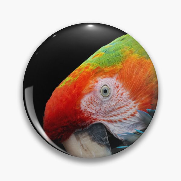Item preview, A parrot preens its feathers with its beak designed and sold by gelibolu.