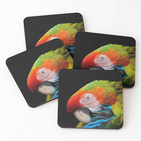Item preview, A parrot preens its feathers with its beak designed and sold by gelibolu.